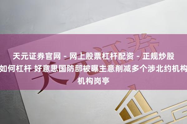 天元证券官网 - 网上股票杠杆配资 - 正规炒股配资如何杠杆 好意思国防部被曝主意削减多个涉北约机构岗亭