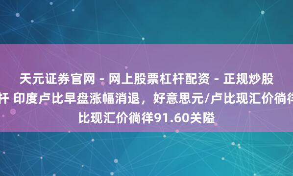 天元证券官网 - 网上股票杠杆配资 - 正规炒股配资如何杠杆 印度卢比早盘涨幅消退，好意思元/卢比现汇价徜徉91.60关隘