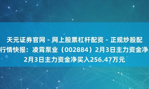 天元证券官网 - 网上股票杠杆配资 - 正规炒股配资如何杠杆 股票行情快报：凌霄泵业（002884）2月3日主力资金净买入256.47万元