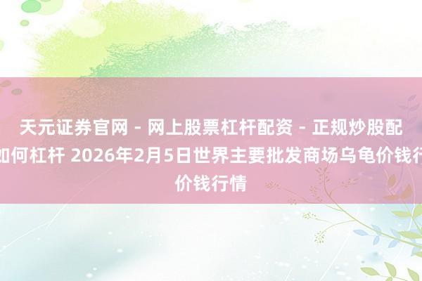 天元证券官网 - 网上股票杠杆配资 - 正规炒股配资如何杠杆 2026年2月5日世界主要批发商场乌龟价钱行情