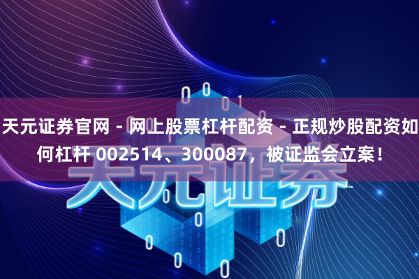 天元证券官网 - 网上股票杠杆配资 - 正规炒股配资如何杠杆 002514、300087，被证监会立案！