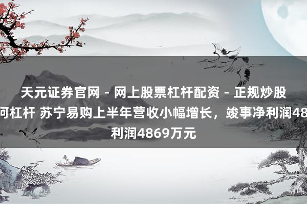 天元证券官网 - 网上股票杠杆配资 - 正规炒股配资如何杠杆 苏宁易购上半年营收小幅增长，竣事净利润4869万元