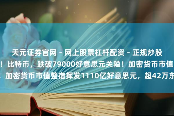 天元证券官网 - 网上股票杠杆配资 - 正规炒股配资如何杠杆 瞬息大跌！比特币，跌破79000好意思元关隘！加密货币市值整宿挥发1110亿好意思元，超42万东说念主爆仓
