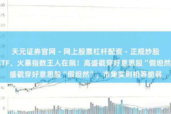 天元证券官网 - 网上股票杠杆配资 - 正规炒股配资如何杠杆 作念空ETF、火暴指数王人在飙！高盛戳穿好意思股“假坦然”，市集实则相等脆弱