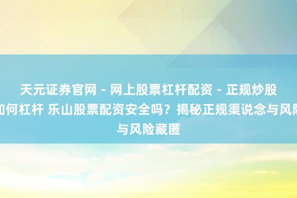天元证券官网 - 网上股票杠杆配资 - 正规炒股配资如何杠杆 乐山股票配资安全吗?揭秘正规渠说念与风险藏匿