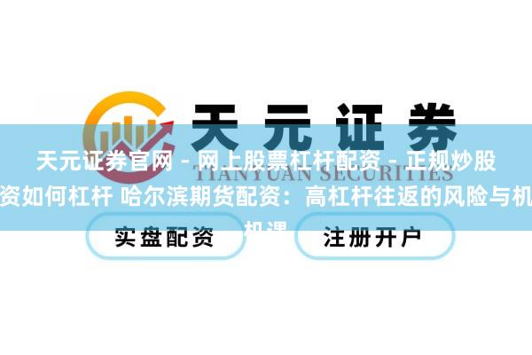 天元证券官网 - 网上股票杠杆配资 - 正规炒股配资如何杠杆 哈尔滨期货配资：高杠杆往返的风险与机遇