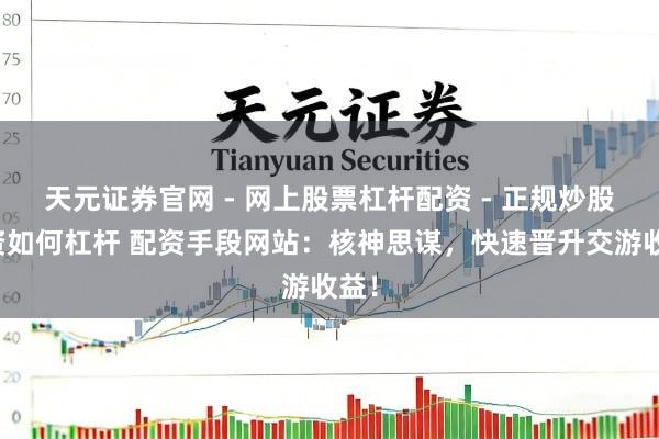 天元证券官网 - 网上股票杠杆配资 - 正规炒股配资如何杠杆 配资手段网站：核神思谋，快速晋升交游收益！
