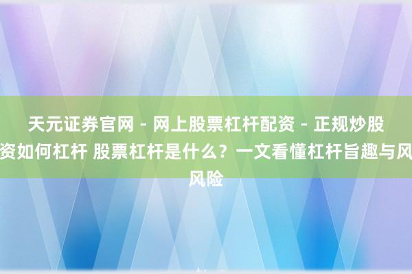 天元证券官网 - 网上股票杠杆配资 - 正规炒股配资如何杠杆 股票杠杆是什么？一文看懂杠杆旨趣与风险