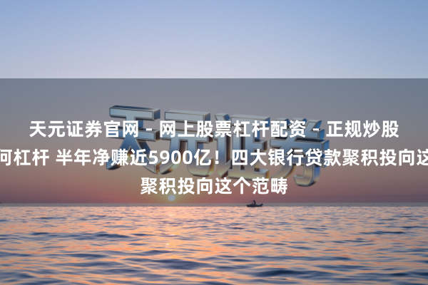 天元证券官网 - 网上股票杠杆配资 - 正规炒股配资如何杠杆 半年净赚近5900亿！四大银行贷款聚积投向这个范畴