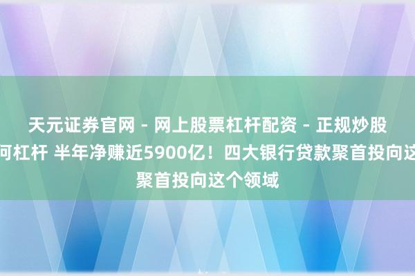天元证券官网 - 网上股票杠杆配资 - 正规炒股配资如何杠杆 半年净赚近5900亿！四大银行贷款聚首投向这个领域