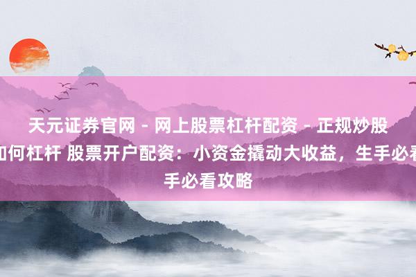 天元证券官网 - 网上股票杠杆配资 - 正规炒股配资如何杠杆 股票开户配资:小资金撬动大收益,生手必看攻略