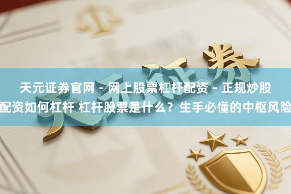 天元证券官网 - 网上股票杠杆配资 - 正规炒股配资如何杠杆 杠杆股票是什么？生手必懂的中枢风险