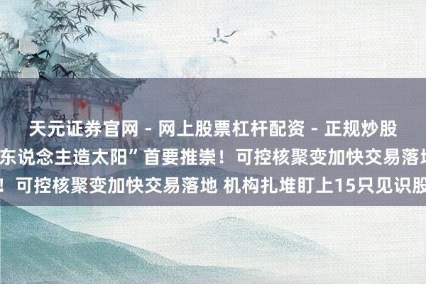 天元证券官网 - 网上股票杠杆配资 - 正规炒股配资如何杠杆 巨匠最大“东说念主造太阳”首要推崇！可控核聚变加快交易落地 机构扎堆盯上15只见识股