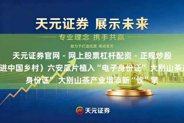 天元证券官网 - 网上股票杠杆配资 - 正规炒股配资如何杠杆 （走进中国乡村）六安瓜片植入“电子身份证” 大别山茶产业增添新“饮”擎