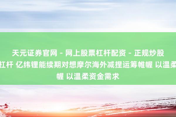 天元证券官网 - 网上股票杠杆配资 - 正规炒股配资如何杠杆 亿纬锂能续期对想摩尔海外减捏运筹帷幄 以温柔资金需求