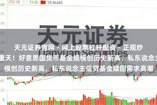 天元证券官网 - 网上股票杠杆配资 - 正规炒股配资如何杠杆 冰火两重天！好意思国货币基金规模创历史新高，私东说念主信贷基金赎回需求高潮
