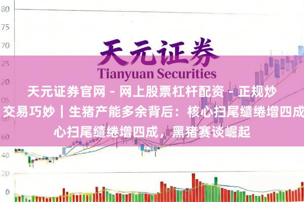 天元证券官网 - 网上股票杠杆配资 - 正规炒股配资如何杠杆 交易巧妙｜生猪产能多余背后：核心扫尾缱绻增四成，黑猪赛谈崛起